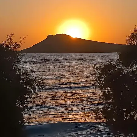 Syrios No 2 * Kalymnos Town